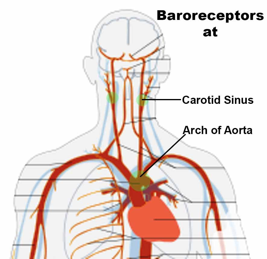 Syncope. Good or Bad?