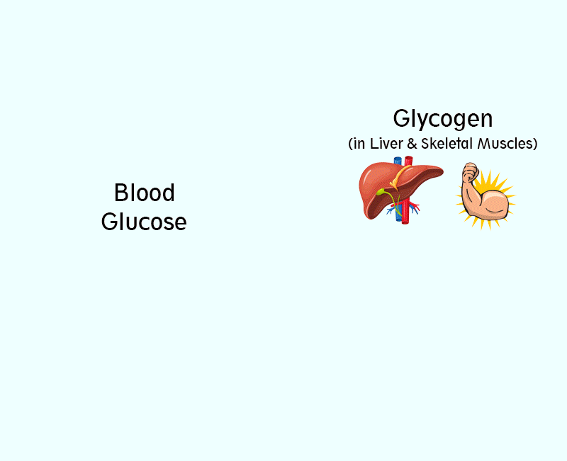 Diabetes can it lead to hypoglycemia?