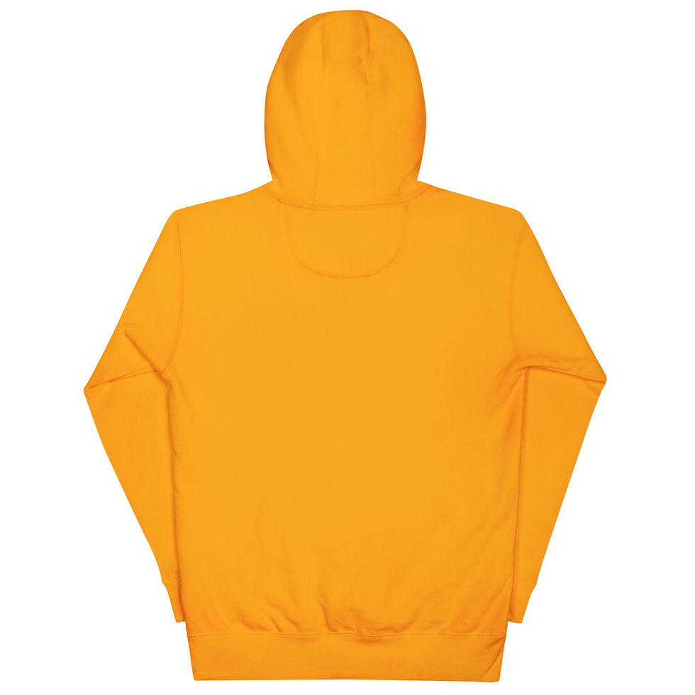 Thumbnail: Be The R/Evolution Unisex Hoodie