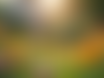 Explore Holistic Living with Train The Whole Human