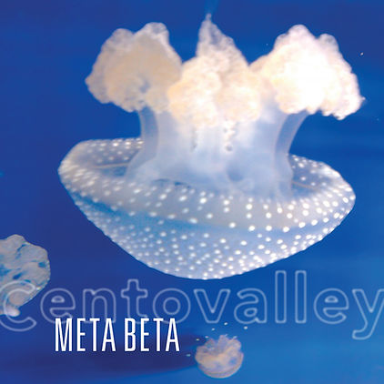 Meta Beta (cover art)