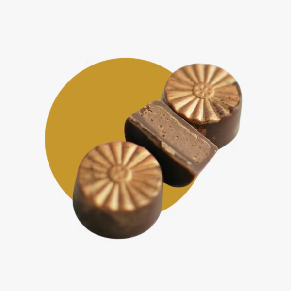 Untitled design (52).png