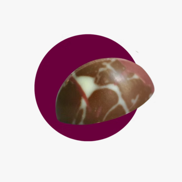 Untitled design (52).png