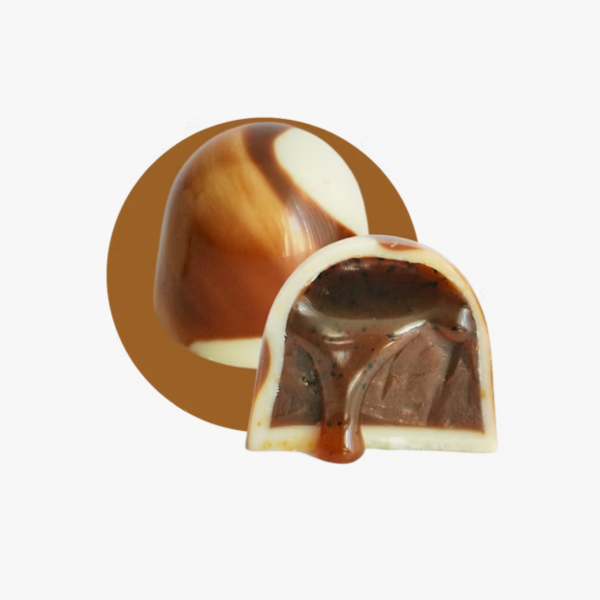 Untitled design (52).png