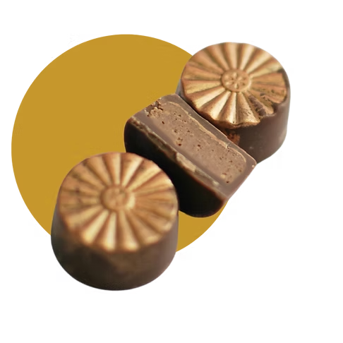 Untitled design (52).png