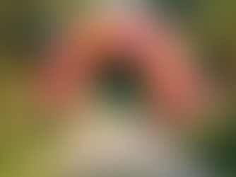 Choosing the Perfect Balloon Décor for Every Occasion