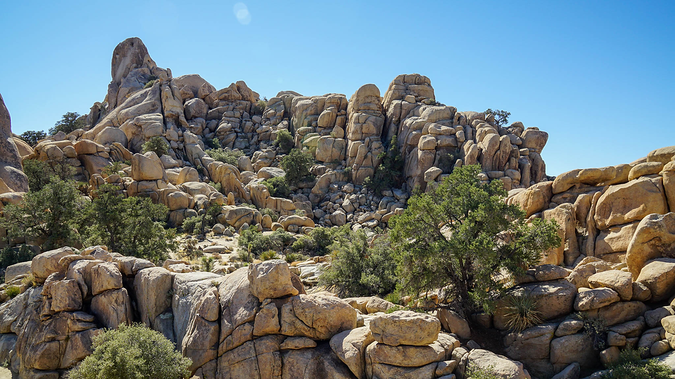 A view from one of the hidden valley nature trails at Joshua Tree