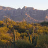 Oro Valley Arizona Things to Do: Hiking, Dining & Scenic Views You’ll Love