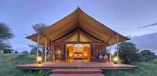 Tarangire-Ndovu-1.jpeg