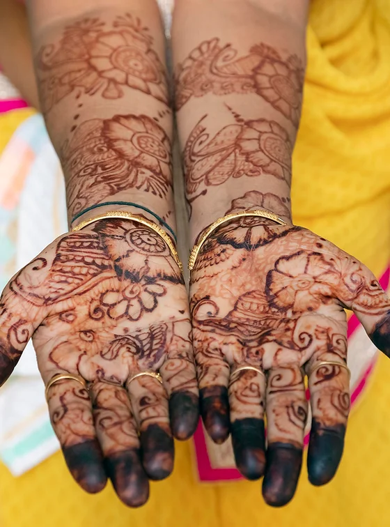 India Photo Tour M M Photo Tours Inc