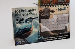 CALENDARIOS MYM - OPHTA