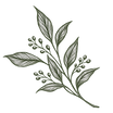 ChatGPT Image Sep 18, 2026 at 02_44_24 P