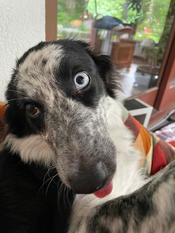 2021-06-30 15.05.36.jpg