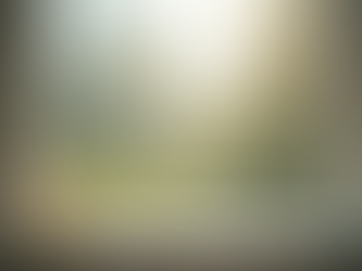 Maximize Cleanliness with Professional Window Cleaning Services