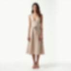 Elegant Midi Dress