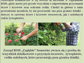 Cięcie i przycinanie drzew, krzewów, żywopłotów i roślin ozdobnych.