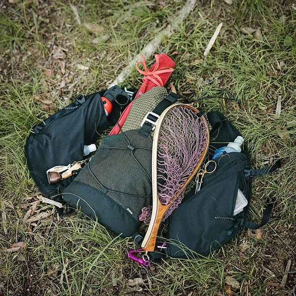 P1176775.jpg