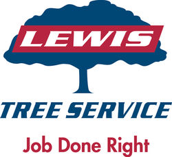 Lewis Services