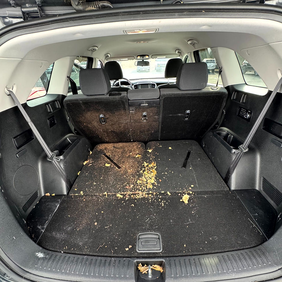 Chevrolet Camaro Scratches (Before)