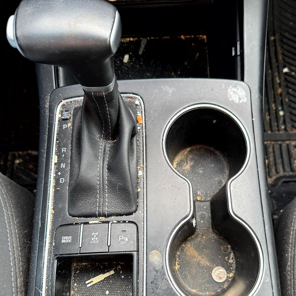 Chevrolet Camaro Scratches (Before)