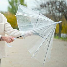 Umbrella