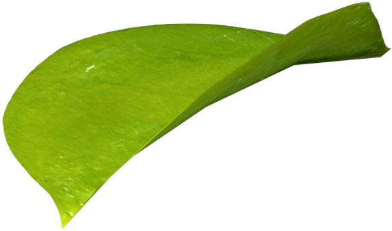 53y7h