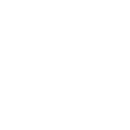 expertise (3).png