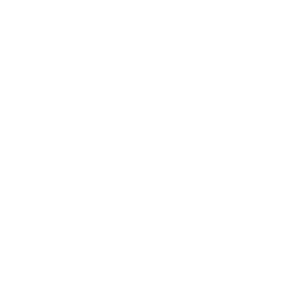mechanics.png
