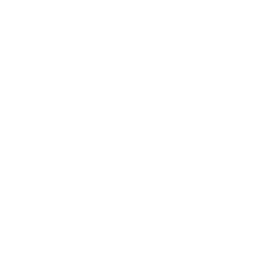 seafood
