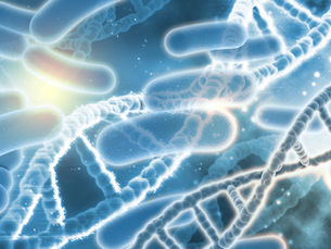 The Gut-Brain Axis: How Your Microbiome Controls Your Mood