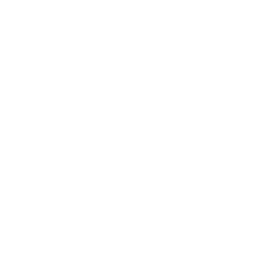 globe (1).png