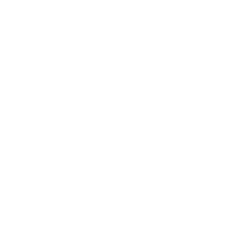 webpage.png