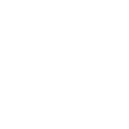 loop.png