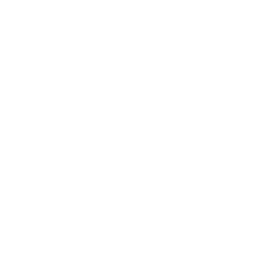 monetization.png