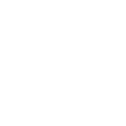 scale.png