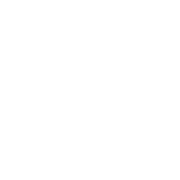 web (1).png
