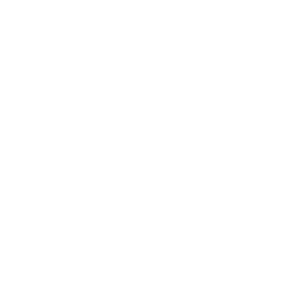 artificial-intelligence (2).png