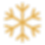 snowflake icon