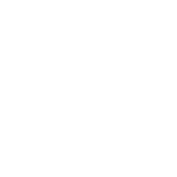 plug.png