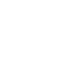 dollar (1).png