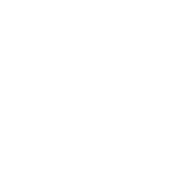 speedometer (2).png
