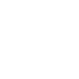 battery (1).png