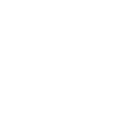 success (4).png