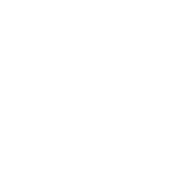 flask (2).png