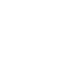 briefcase (1).png