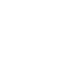 visions