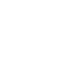 repairing-service.png