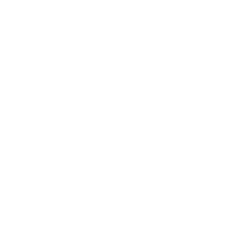 bidding.png