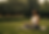Firefly 20251014124451.png