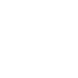 branding.png